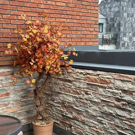 Apartment Center Cacak